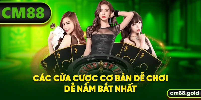Các cửa cược cơ bản dễ chơi dễ nắm bắt nhất