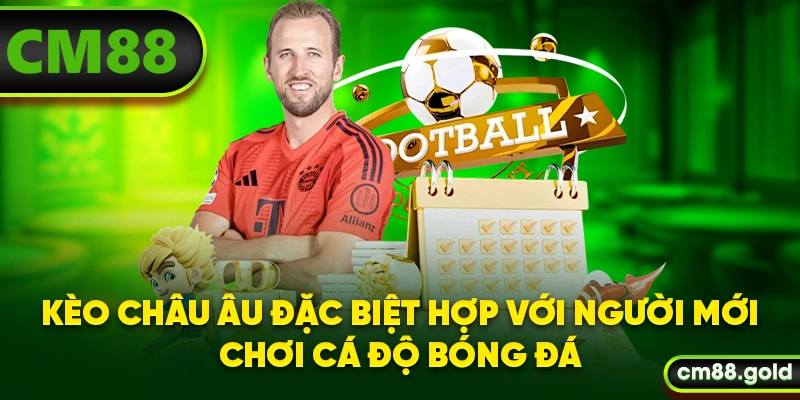 Kèo châu Âu đặc biệt hợp với người mới chơi cá độ bóng đá