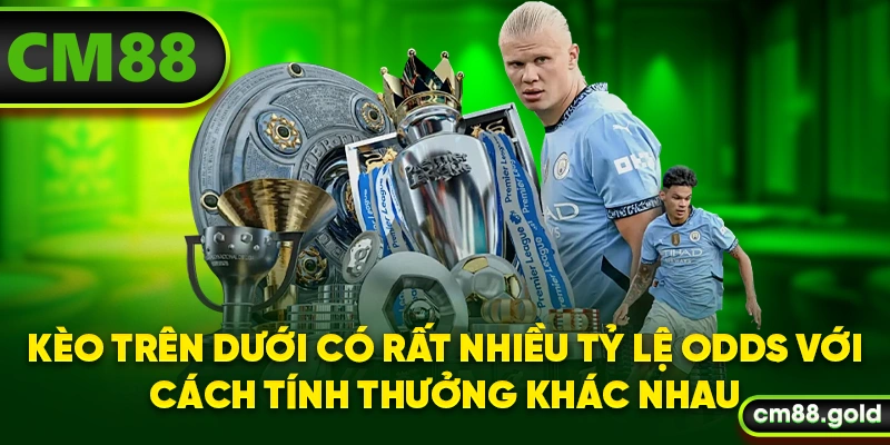 Kèo trên dưới có rất nhiều tỷ lệ odds với cách tính thưởng khác nhau