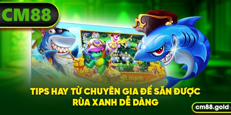 Tips hay từ chuyên gia để săn được Rùa Xanh dễ dàng
